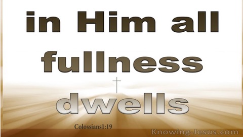 Colossians 1:19 In Him Dwells All Goodness (brown)